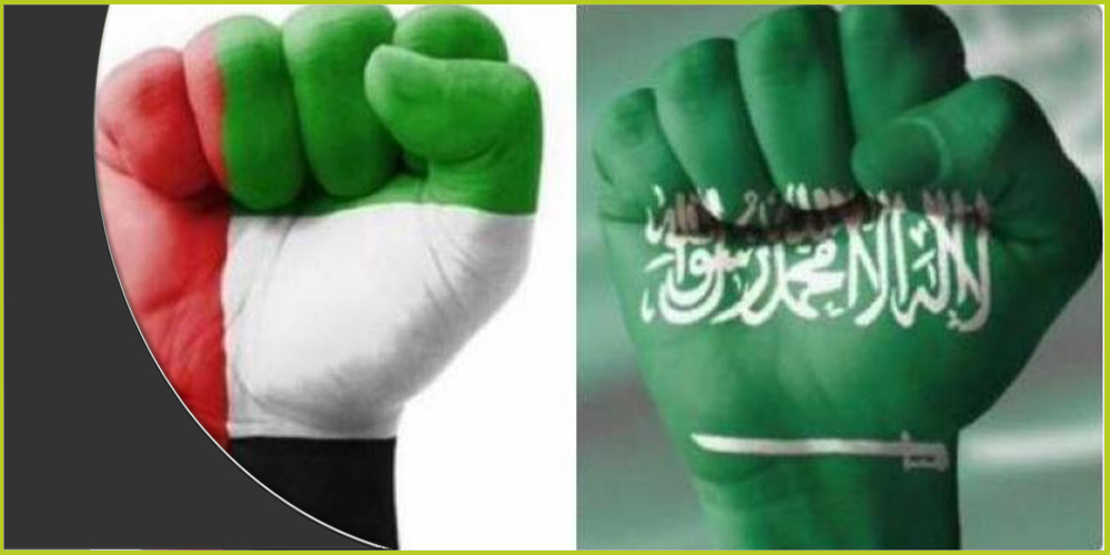 من الضروري تشكيل وتأطير لوبي عربي ضاغط في الولايات المتحدة