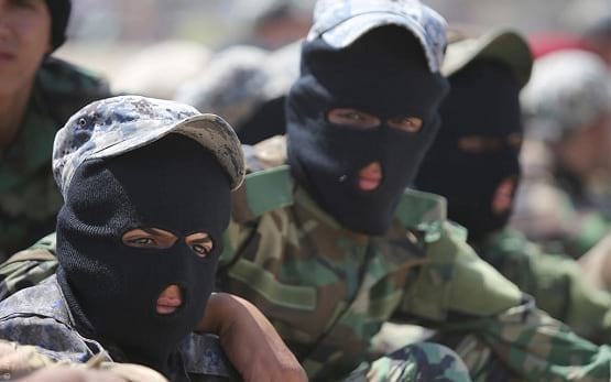 إنّها الميليشيات ... إنّها الدولة