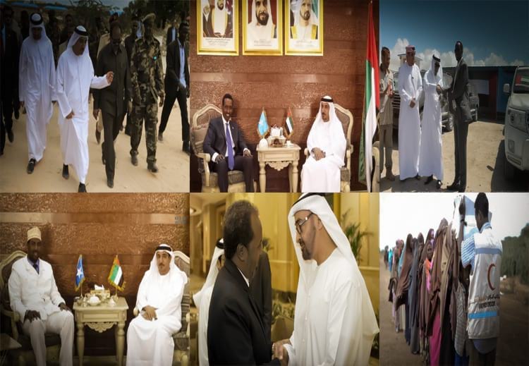 الأسباب التي قادت الإمارات إلى دول القرن الإفريقي