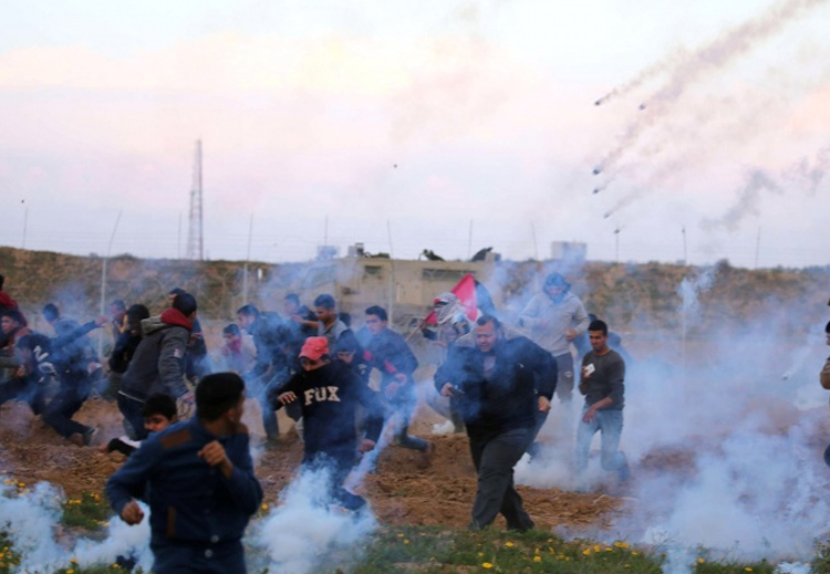 خسائر قضية فلسطين بين القومية والإسلاموية