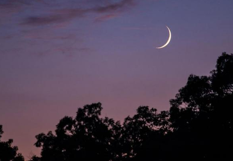 "رمضان الخير". ماذا عن باقي أشهر السنة؟