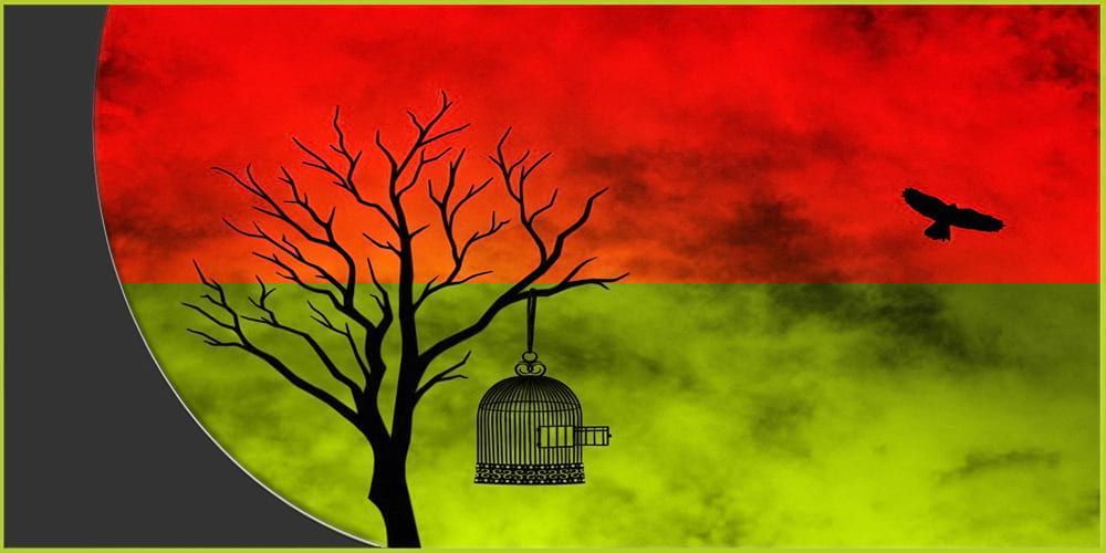 في الحرية تزهر وردة الأمل والعقل