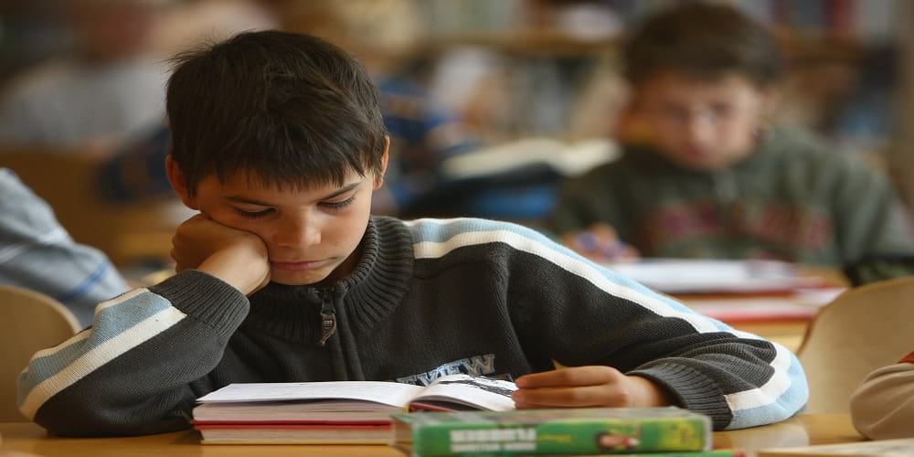 القضاء على التمييز ضد الأقلية المسلمة يساهم في تعزيز التعايش