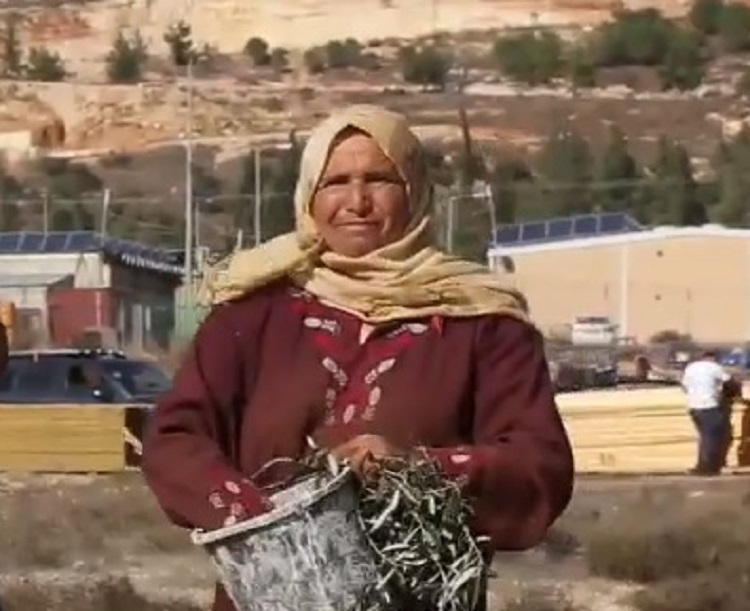 أمل أبو عواد