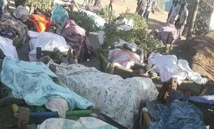 ترتكب ميليشيات الأمهرا جرائم تطهير عرقي غرب تيجراي