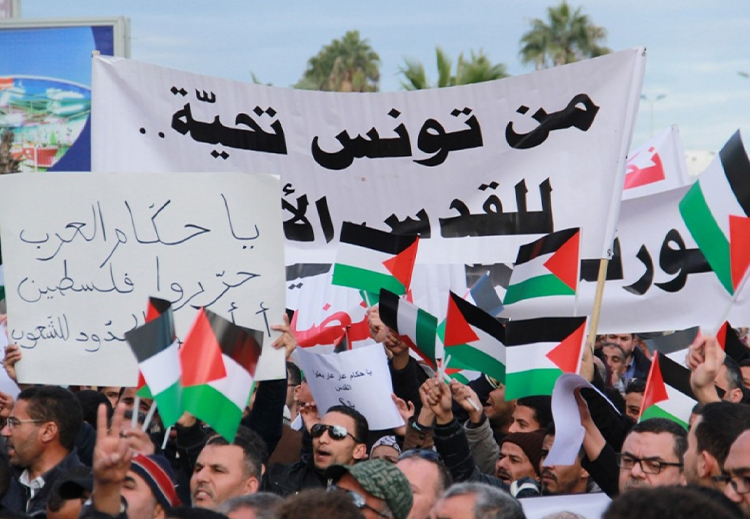 دعم شعبي كبير من تونس للقضية الفلسطينية