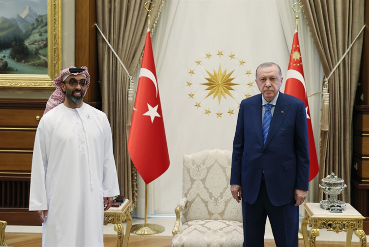 جاء لقاء أردوغان وطحنون بن زايد في آب 2021 تحت عنوان بحث سبل تعزيز التعاون الاقتصادي