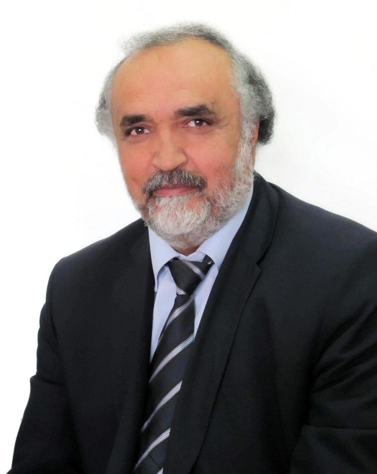 الباحث والمختص بعمارة وشؤون القدس، جمال عمرو