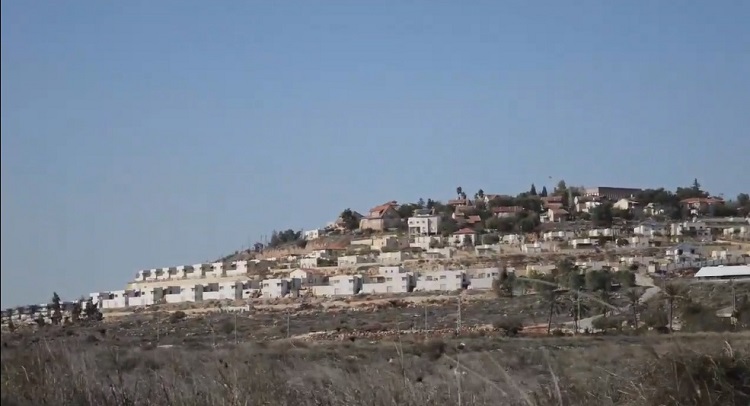 مستوطنة شيلو