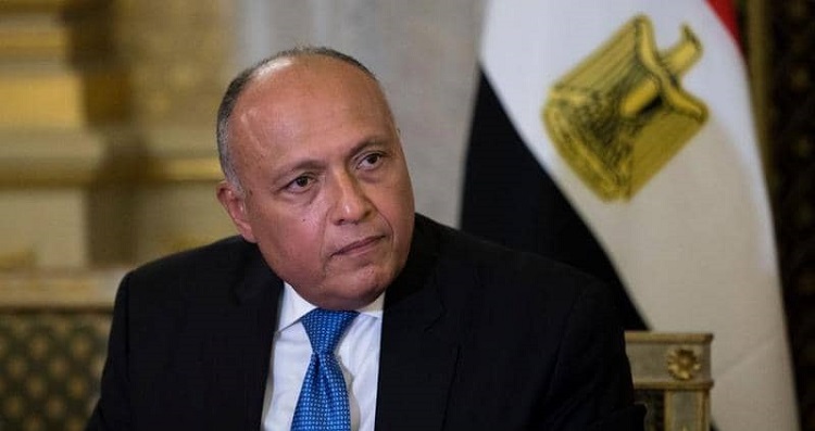 وزير الخارجية المصري سامح شكري