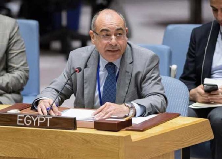 مندوب مصر الدائم لدى الأمم المتحدة السفير محمد إدريس