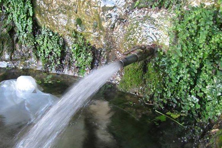 تشكل الزراعة العصب الاقتصادي لسكان مناطق الأغوار