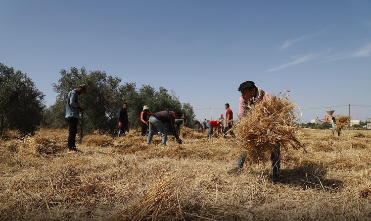 الفريق يضمّ خريجين من عدة تخصصات مختلفة