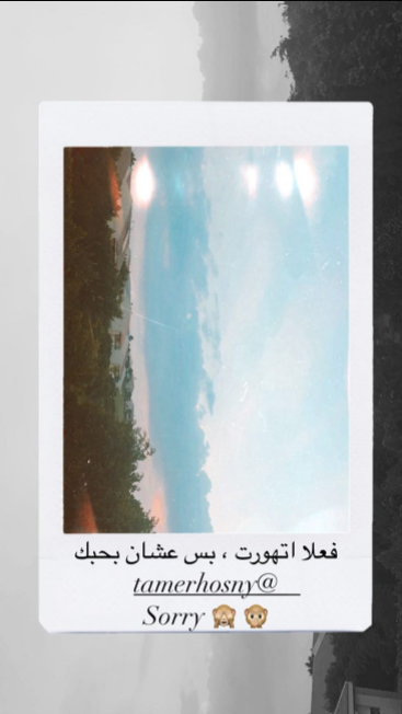 رد بسمة بوسيل على رسالة تامر حسني