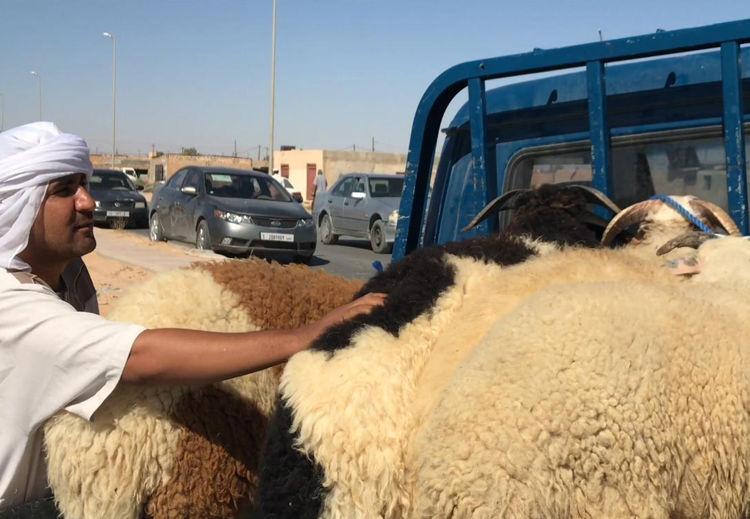 تشهد أسواق الأضاحي ركوداً كبيراً مع اقتراب عيد الأضحى