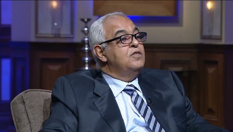 وزير الري المصري السابق الدكتور محمد نصر الدين علام