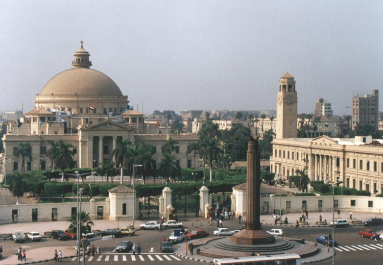 عندما تخلى أساتذة الجامعات عن دورهم