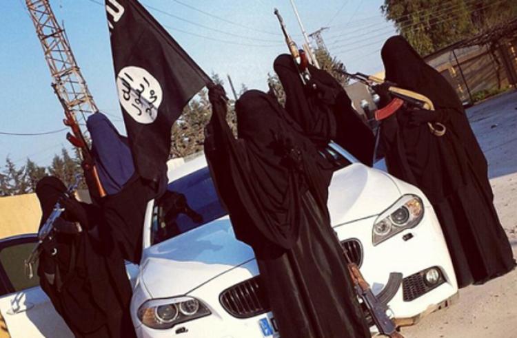 يؤكّد الكتاب أنّ رغبة الفتيات في الالتحاق بداعش يشكل مفارقة ولغزاً يستدعي التأمل