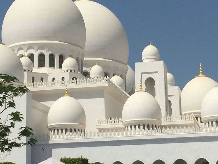 قباب المسجد