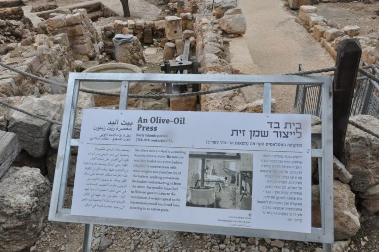 الشركات السياحية تساعد الاحتلال الإسرائيلي في الاستيلاء على المزيد من الأراضي الفلسطينية