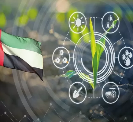 كيف استفادت الإمارات من التكنولوجيا الزراعية لتحقيق الأمن الغذائي؟
