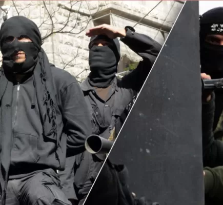 صور الجهاد.. من تنظيم القاعدة إلى داعش: وجهة نظر ماركسية