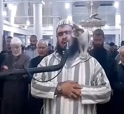 فيديو رفقه بالقطة جاب العالم... هذا ما قاله الإمام الجزائري في أول تعليق