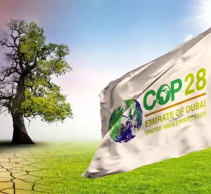 الإمارات... مبادرات بيئية استعداداً لـ COP28 وقرارات حكومية جديدة في مجالات مختلفة