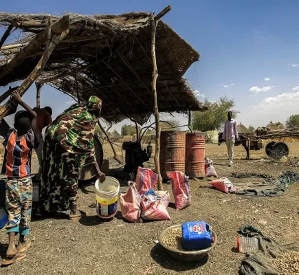 تقرير أممي: (20) مليون سوداني على حافة المجاعة بسبب القتال