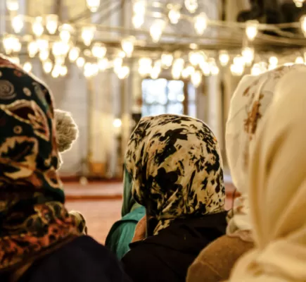 الإخوان المسلمون: استغلال المرأة لتمكين الرجال سياسياً الإخوان المسلمون: استغلال المرأة لتمكين الرجال سياسياً